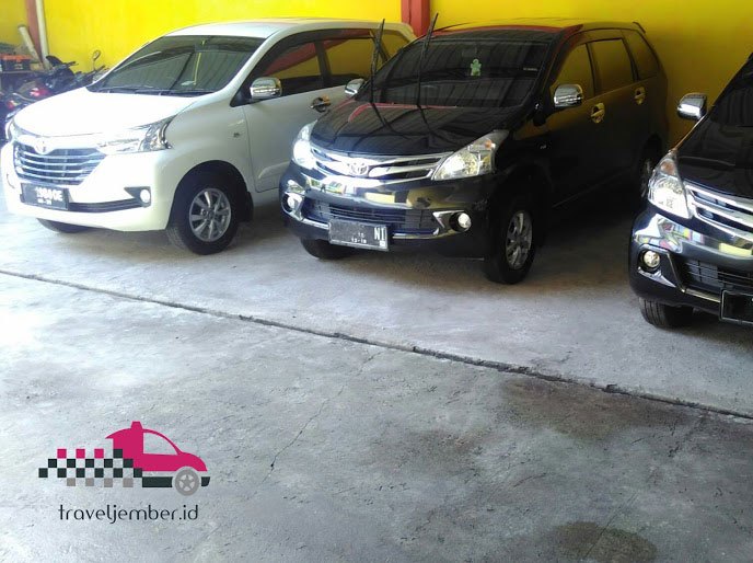 travel jember sidoarjo